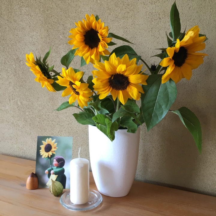 16-07-24_iPhone 6s_15-13-22