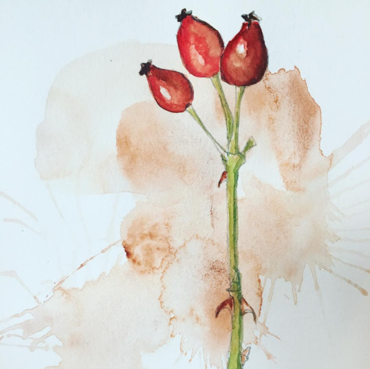 bildschirmfoto-2016-10-26-um-18-45-04