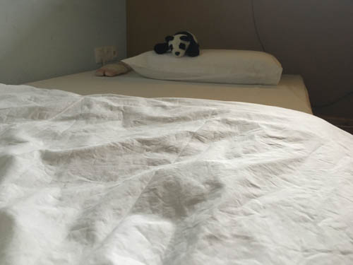 16-11-06_iphone-6s_13-39-16