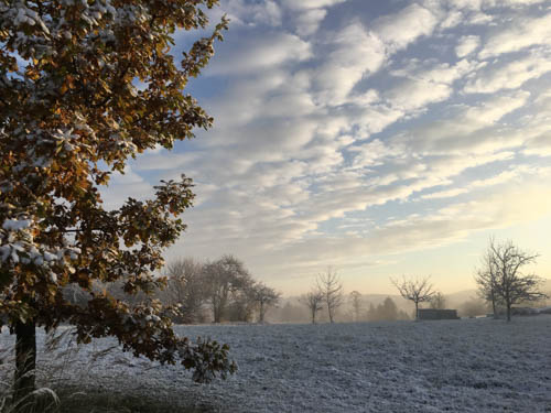 16-11-09_iphone-6s_07-52-05