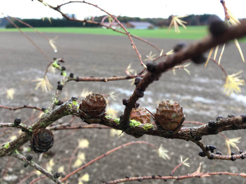 16-11-11_iphone-6s_09-32-23