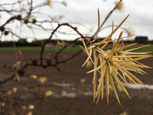 16-11-11_iphone-6s_09-33-00